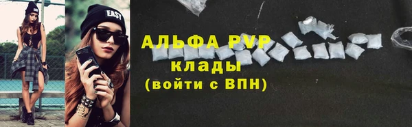 индика Сатка