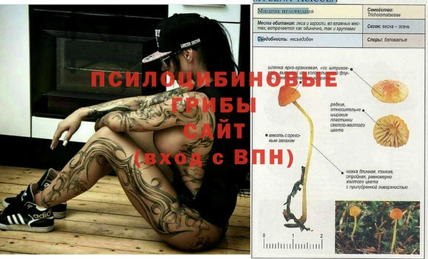 метадон Сафоново