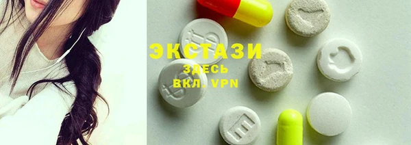индика Сатка