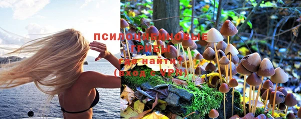 гашик Семёнов