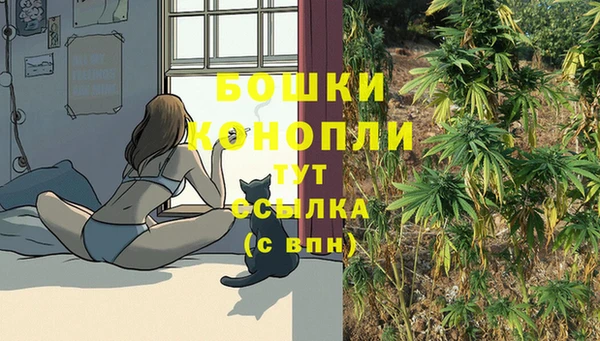 гашик Семёнов