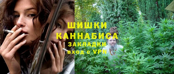 индика Сатка