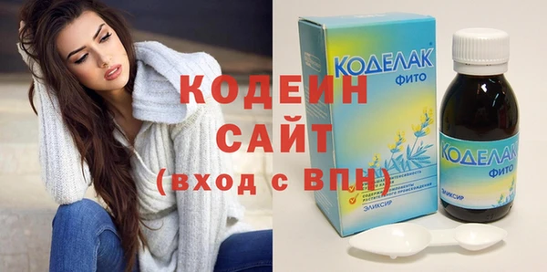 индика Сатка