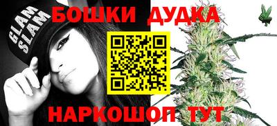 бошки Дубна