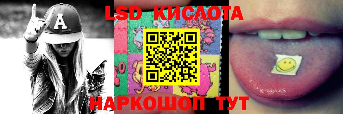 Галлюциногенные грибы Усть-Джегута