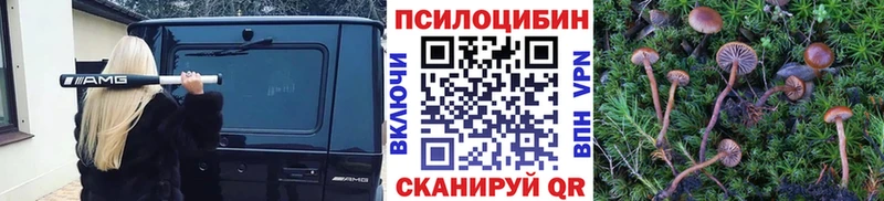 цены   Усть-Джегута  Псилоцибиновые грибы Cubensis 