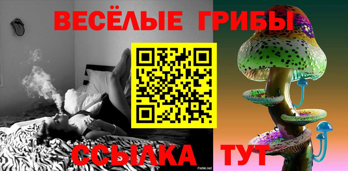 Галлюциногенные грибы MAGIC MUSHROOMS Усть-Джегута